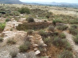 Cerro de la Almagra 2004